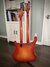 Rickenbacker 4080/46 Doubleneck, Fireglo: Full Instrument - Rear