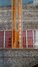 Rickenbacker 365/6 Refin, Autumnglo: Free image