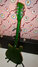 Rickenbacker 620/12 Refin, Green: Full Instrument - Rear