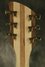 Rickenbacker 380/6 Laguna, Natural Walnut: Headstock - Rear