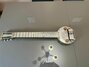 Rickenbacker A22/6 LapSteel, Gold: Full Instrument - Front