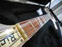 Rickenbacker 4003/4 Mod, Custom: Neck - Front