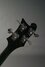 Rickenbacker 4003/4 , Jetglo: Headstock - Rear