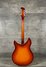Rickenbacker 360/12 B Series, Fireglo: Full Instrument - Rear