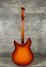 Rickenbacker 360/12 B Series, Fireglo: Full Instrument - Rear