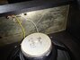 Rickenbacker TR7/amp Mod, Black: Close up - Free
