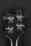 Rickenbacker 4003/4 , Matte Black: Headstock - Rear