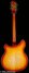Rickenbacker 360/12 Limited Edition, Satin Autumnglo: Full Instrument - Rear