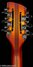 Rickenbacker 360/12 Limited Edition, Satin Autumnglo: Headstock - Rear