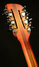 Rickenbacker 360/12 Limited Edition, Satin Autumnglo: Headstock - Rear