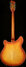 Rickenbacker 360/12 Limited Edition, Satin Autumnglo: Full Instrument - Rear