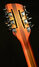 Rickenbacker 360/12 Limited Edition, Satin Autumnglo: Headstock - Rear