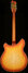 Rickenbacker 360/12 Limited Edition, Satin Autumnglo: Full Instrument - Rear