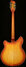 Rickenbacker 360/12 Limited Edition, Satin Autumnglo: Full Instrument - Rear