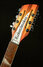 May 2023 Rickenbacker 360/12 Limited Edition, Satin Autumnglo: Headstock