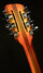 Rickenbacker 360/12 Limited Edition, Satin Autumnglo: Headstock - Rear