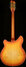 Rickenbacker 360/12 Limited Edition, Satin Autumnglo: Full Instrument - Rear