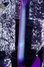 Rickenbacker 350/6 V63, Blueburst: Neck - Rear