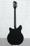 Rickenbacker 360/12 , Jetglo: Full Instrument - Rear