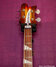 Rickenbacker 4003/4 CB Checkered Binding, Autumnglo: Neck - Front