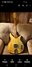 Rickenbacker 650/6 Combo SPC, Natural: Full Instrument - Front