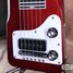 Rickenbacker 100/6 LapSteel, Burgundy: Free image