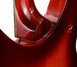 Rickenbacker 1998/6 RoMo, Fireglo: Free image