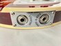 Rickenbacker 360/12 WB, Fireglo: Close up - Free