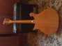 Rickenbacker 620/6 BT, Mapleglo: Full Instrument - Rear