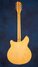Rickenbacker 360/12 , Mapleglo: Full Instrument - Rear