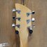 Rickenbacker 220/6 Hamburg, Fireglo: Headstock - Rear