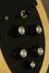 Rickenbacker 330/12 BH, Mapleglo: Free image