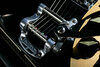 Rickenbacker 325/6 V59, Jetglo: Close up - Free2
