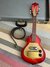 Rickenbacker 5002/8 V58, Fireglo: Full Instrument - Front