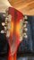 Rickenbacker 360/12 V64, Fireglo: Headstock - Rear