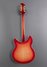 Rickenbacker 360/12 C63, Fireglo: Full Instrument - Rear