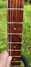Rickenbacker 330/12 , Ruby: Neck - Front
