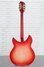 Rickenbacker 360/12 C63, Fireglo: Full Instrument - Rear
