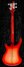 Rickenbacker 4003/4 , Fireglo: Full Instrument - Rear