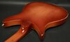 Rickenbacker 320/6 f hole, Fireglo: Neck - Rear