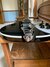 Rickenbacker 620/6 , Jetglo: Close up - Free2