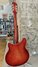 Rickenbacker 360/12 , Fireglo: Full Instrument - Rear