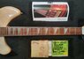 Rickenbacker 360/12 , Mapleglo: Neck - Front