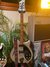 Rickenbacker 360/6 BH BT, Silver: Full Instrument - Front