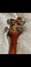 Rickenbacker 4001/4 , Fireglo: Headstock - Rear