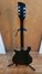 Rickenbacker 620/12 , Jetglo: Full Instrument - Rear