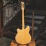 Rickenbacker 370/12 , Mapleglo: Full Instrument - Rear