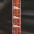 Rickenbacker 370/12 , Mapleglo: Neck - Front