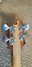 Rickenbacker 4003/4 Mod, Natural Walnut: Headstock - Rear