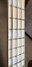 Rickenbacker 4003/4 Mod, Natural Walnut: Neck - Front